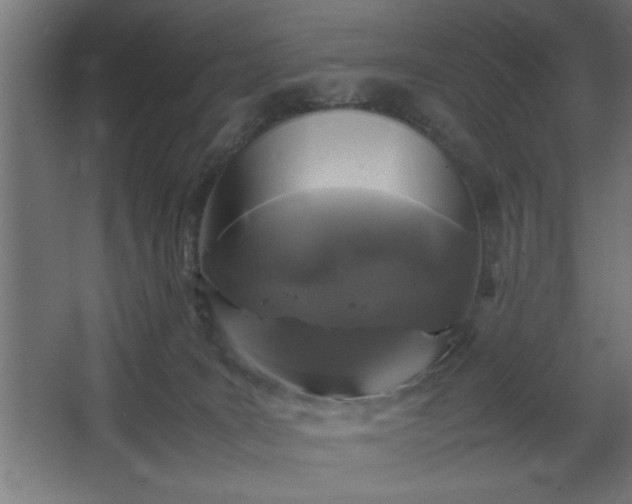 X0000067910035200604201416