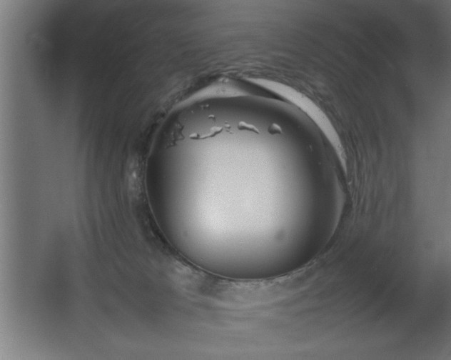 X0000067910037200604201416