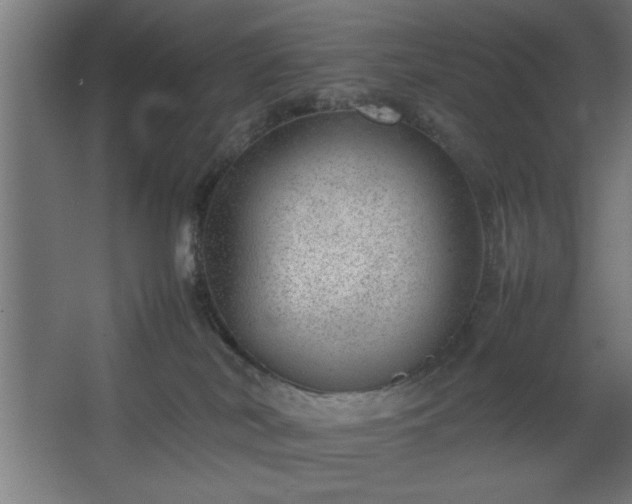 X0000067910038200604201416