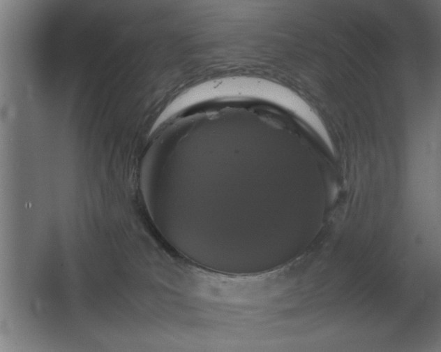 X0000067910039200604201416