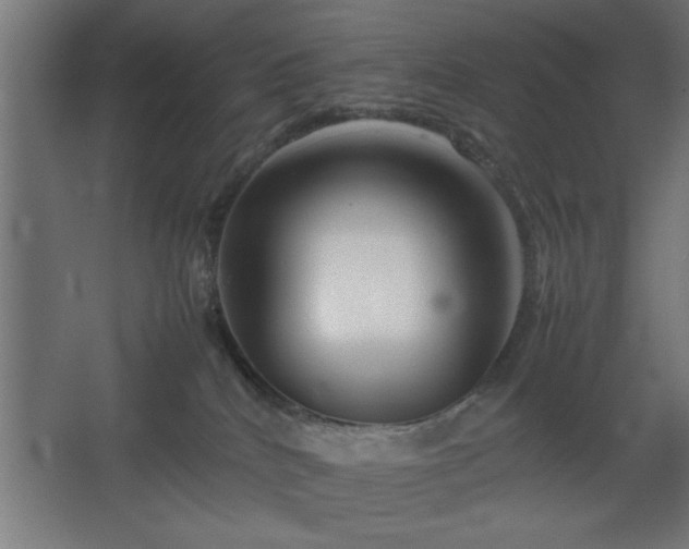 X0000067910040200604201416