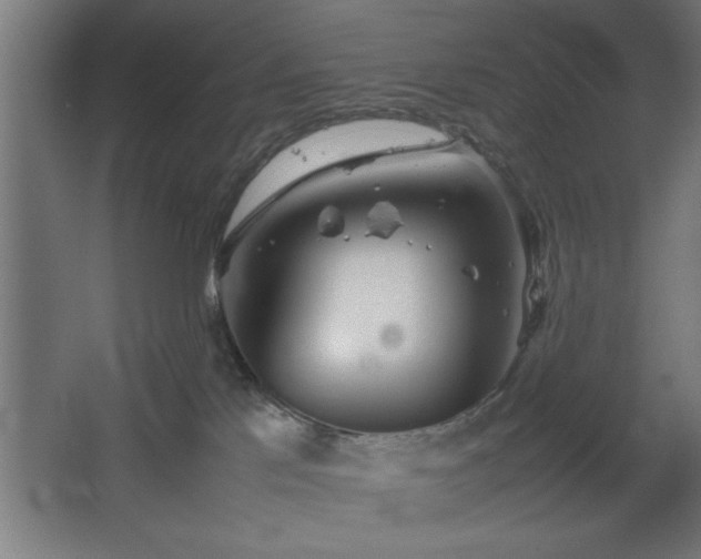 X0000067910041200604201416