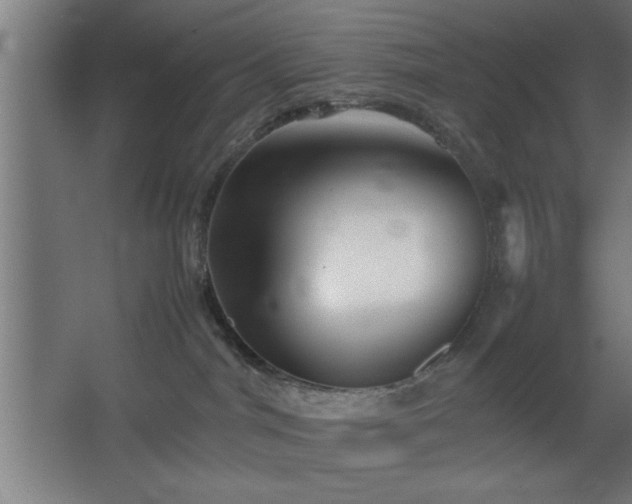 X0000067910044200604201416