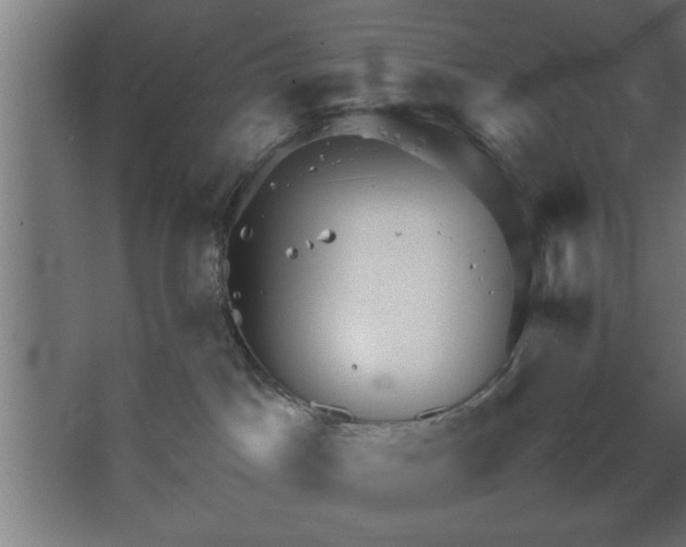 X0000067910045200604201416