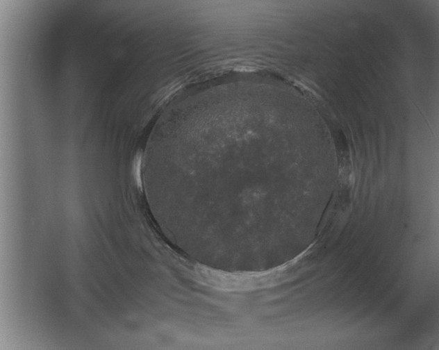 X0000067910047200604201416