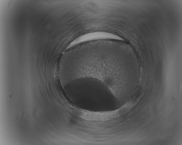 X0000067910048200604201416