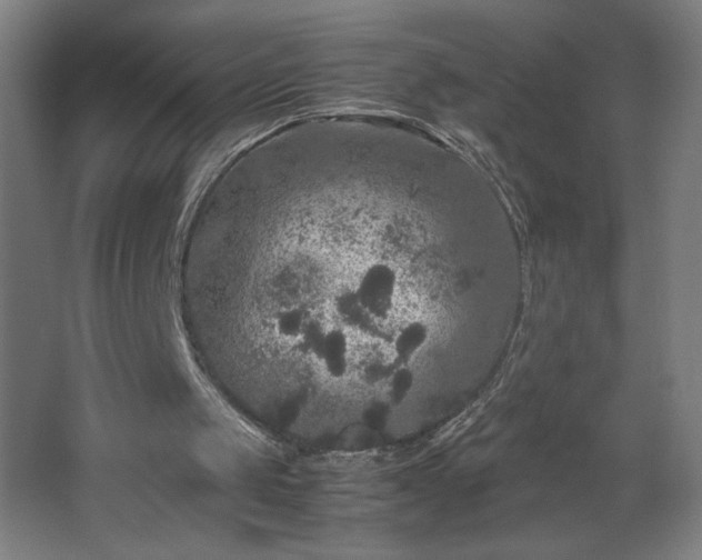 X0000067910049200604201415