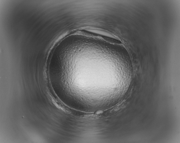 X0000067910050200604201415