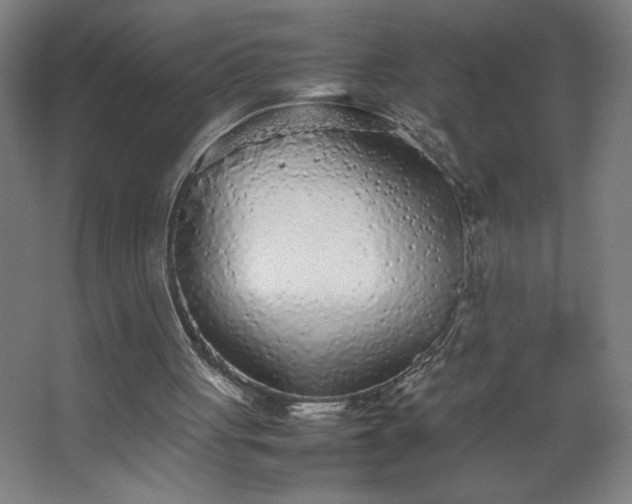 X0000067910051200604201415