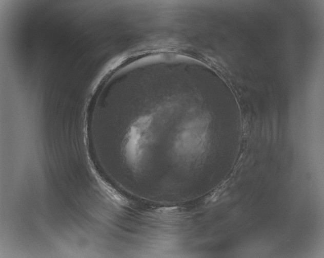 X0000067910054200604201415