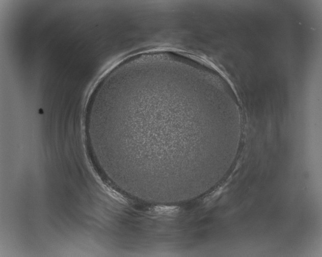 X0000067910055200604201415