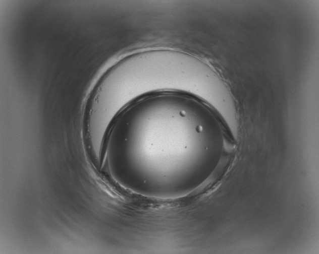 X0000067910056200604201415