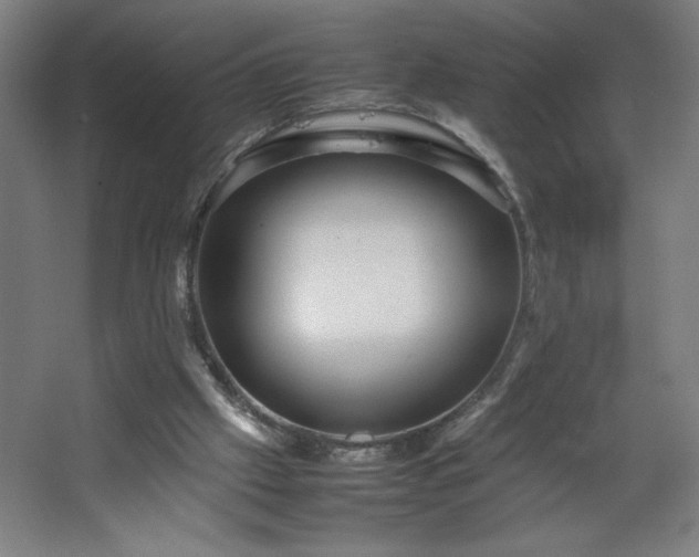 X0000067910057200604201415