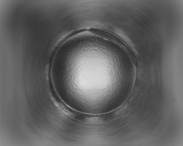 X0000067910058200604201415