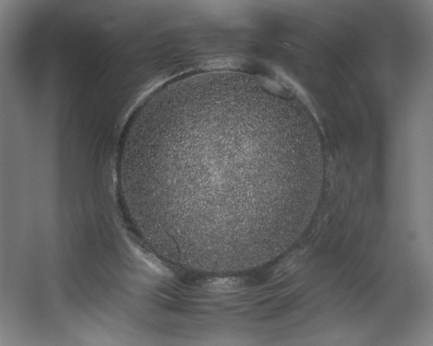 X0000067910059200604201415