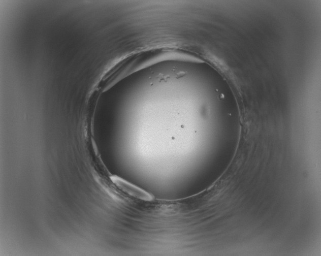 X0000067910060200604201415