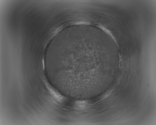 X0000067910061200604201415