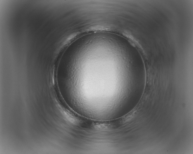 X0000067910062200604201415