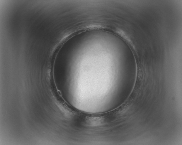 X0000067910063200604201415