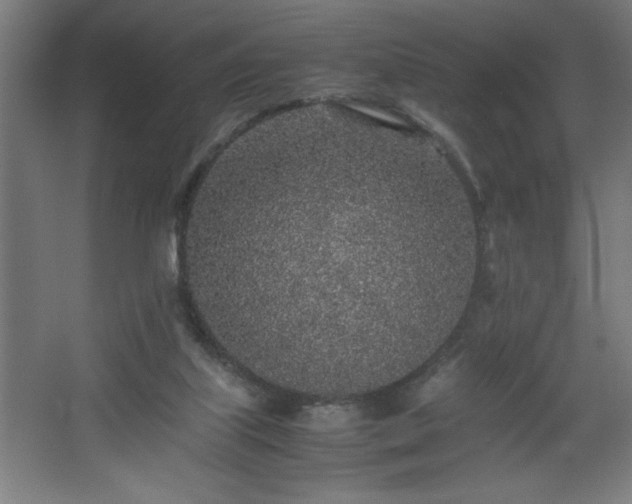 X0000067910067200604201415