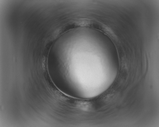 X0000067910073200604201415