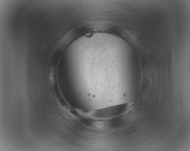 X0000067910074200604201415