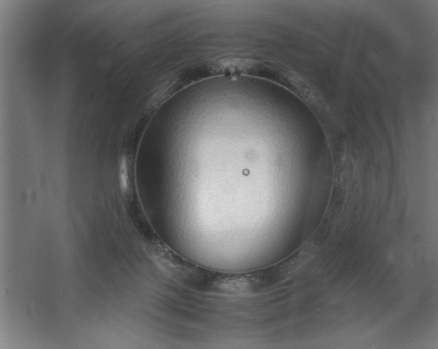 X0000067910075200604201415