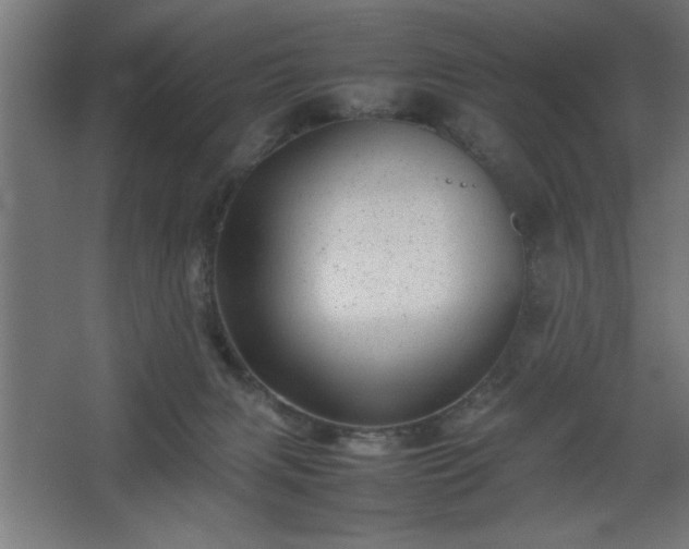 X0000067910079200604201415