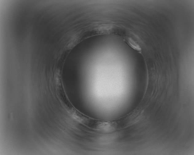 X0000067910083200604201415