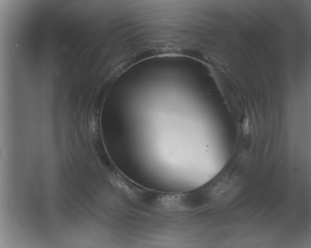 X0000067910084200604201415