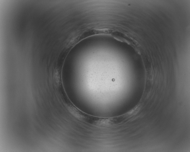 X0000067910086200604201415