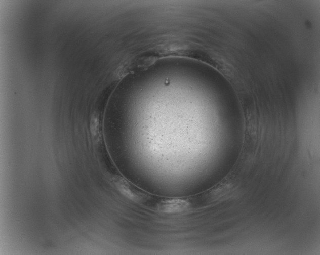 X0000067910087200604201415