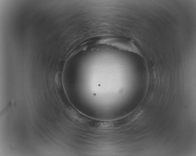 X0000067910088200604201415