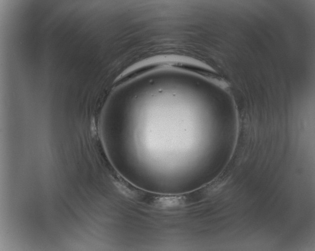 X0000067910089200604201415