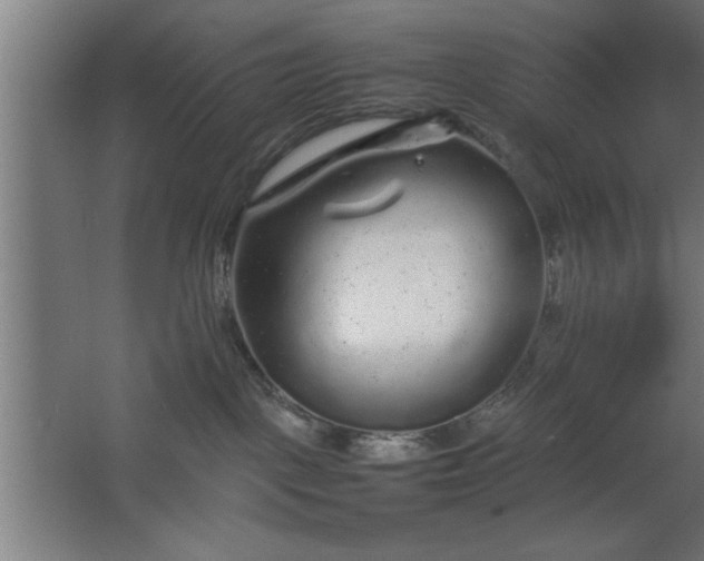 X0000067910093200604201416