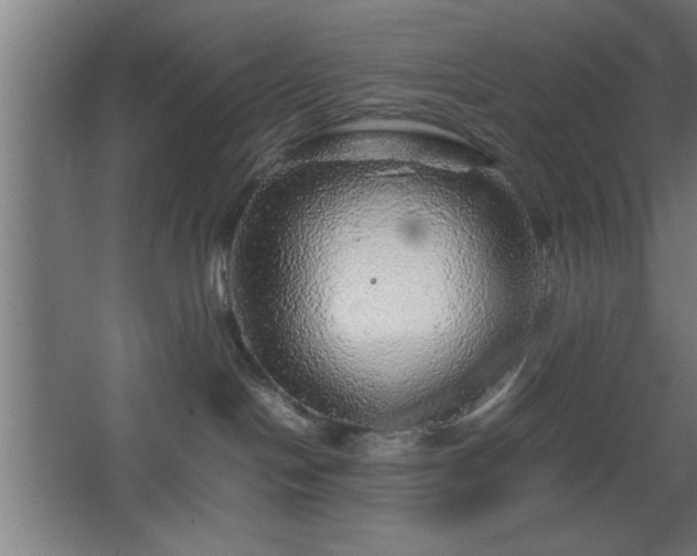 X0000067910094200604201416