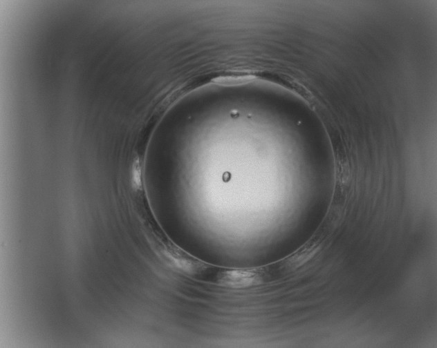 X0000067910095200604201416