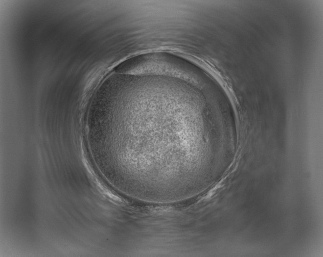 X0000067910097200604201415