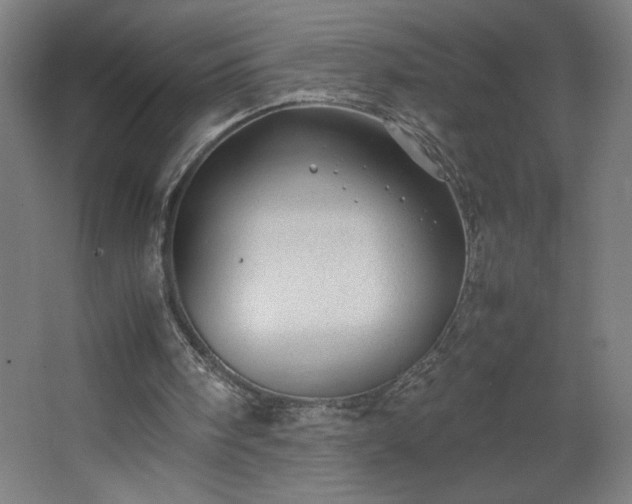 X0000067910098200604201415