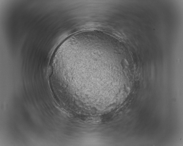 X0000067910099200604201415