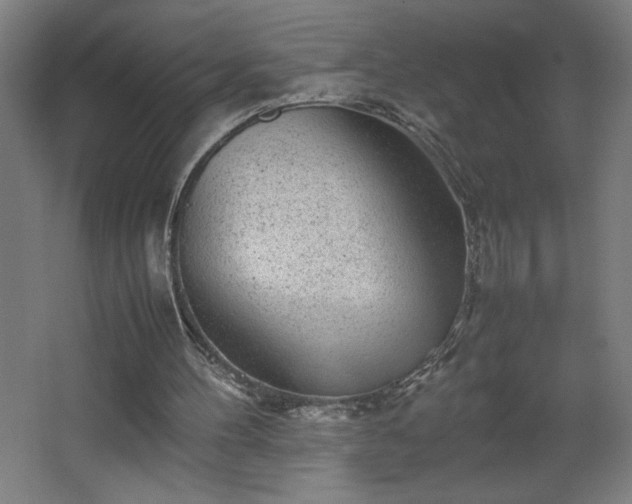 X0000067910100200604201415