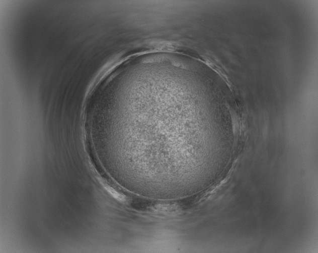 X0000067910101200604201415