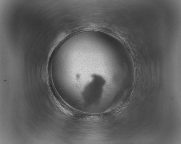 X0000067910102200604201415