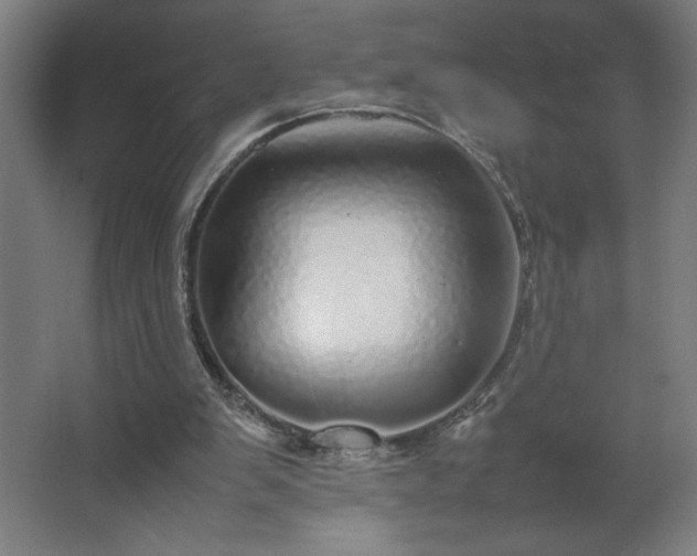 X0000067910103200604201415