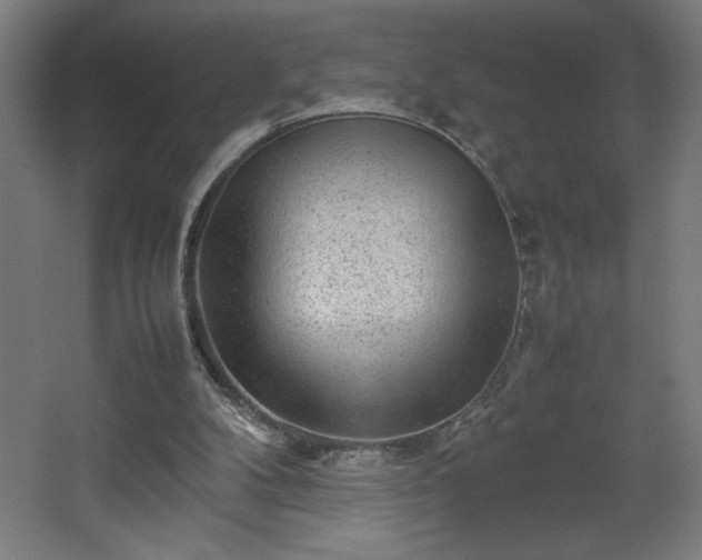 X0000067910104200604201415