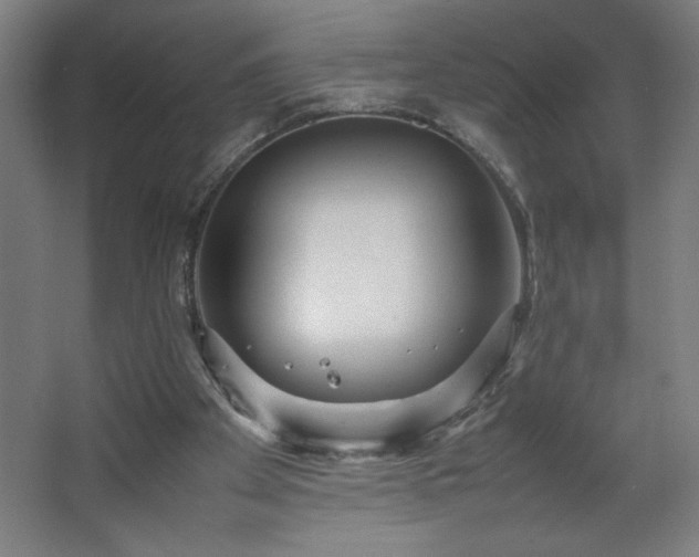 X0000067910105200604201415