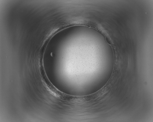 X0000067910106200604201415