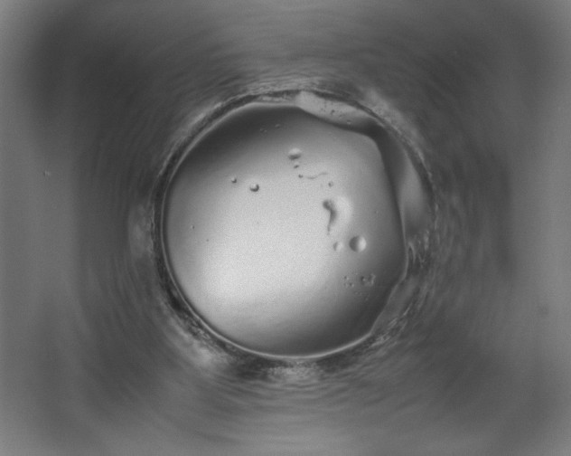 X0000067910107200604201415