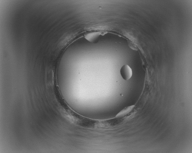 X0000067910109200604201415