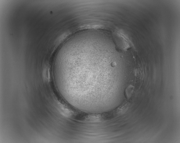 X0000067910110200604201415